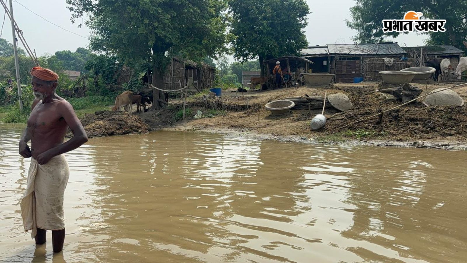 Flood-affected area in Shamho, Begusarai, Bihar